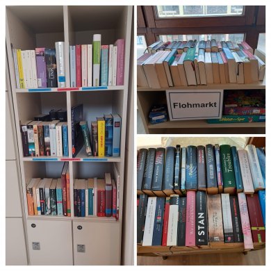 Foto eines Bücherregales