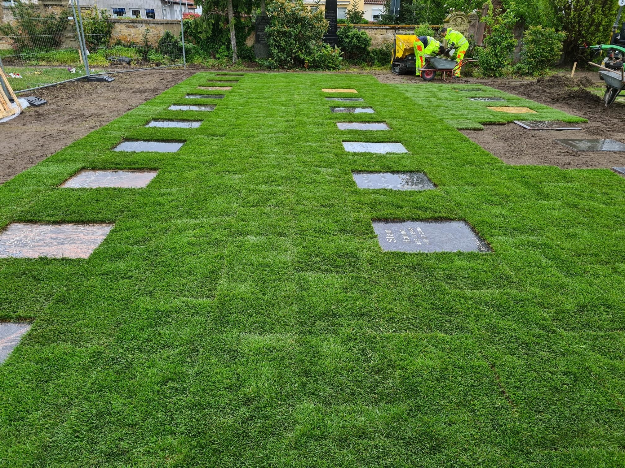 Foto von Grabplatten in Rasenfläche