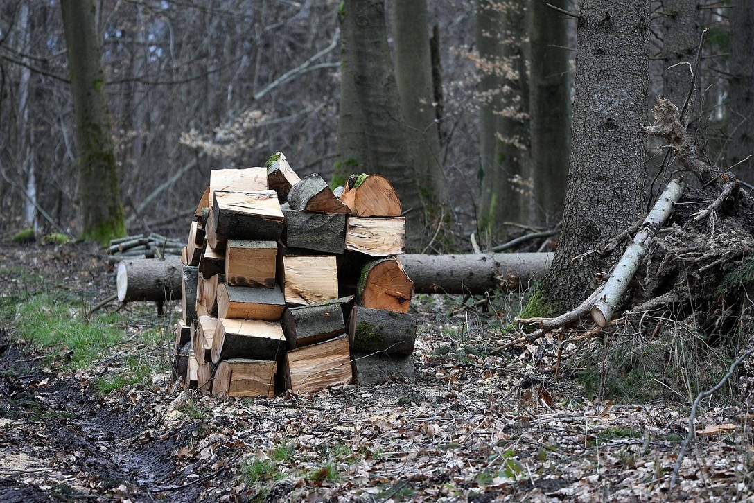 gestapelte Holzstücke im Wald