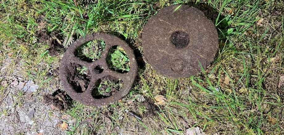 Foto der Landmine