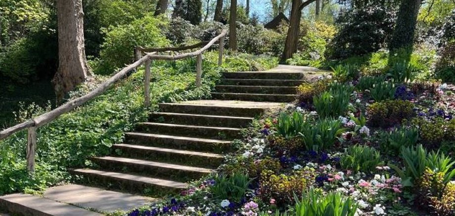 Foto Wald Treppe Blumen