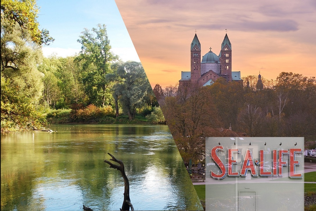 Fotocollage Altrheinarm, Speyerer Dom und Sealife Schriftzug
