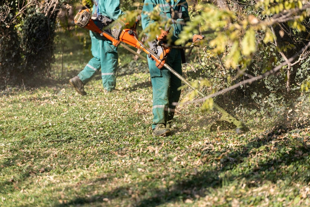 An einem Herbsttag schneiden zwei Gärtner in Rasen und entfernen Laub.