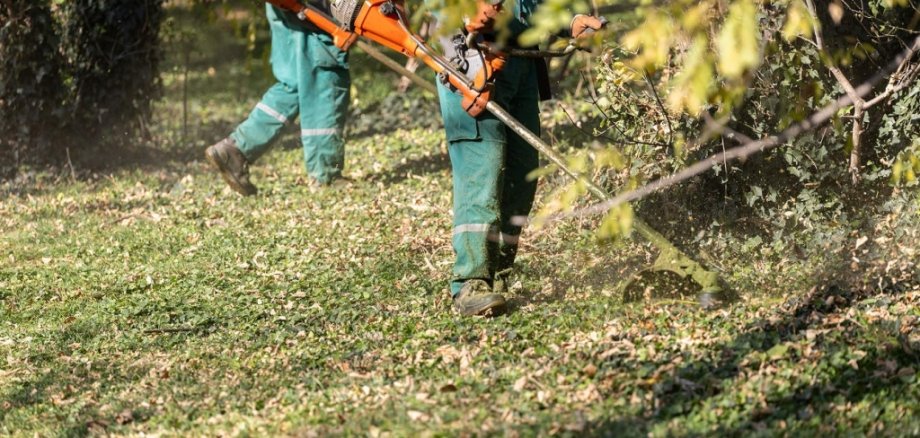 An einem Herbsttag schneiden zwei Gärtner in Rasen und entfernen Laub.