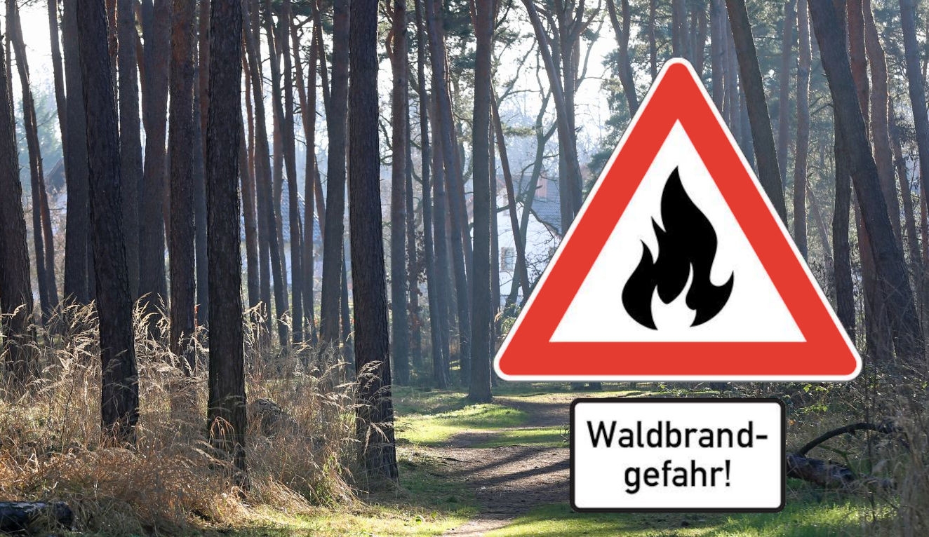 Foto einer Lichtung im Wald mit einem eingefügten Bild eines Hinweisschildes mit de Aufschrift "Waldbrandgefahr"