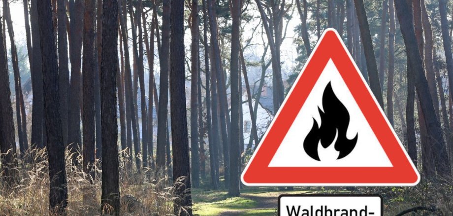 Foto einer Lichtung im Wald mit einem eingefügten Bild eines Hinweisschildes mit de Aufschrift "Waldbrandgefahr"