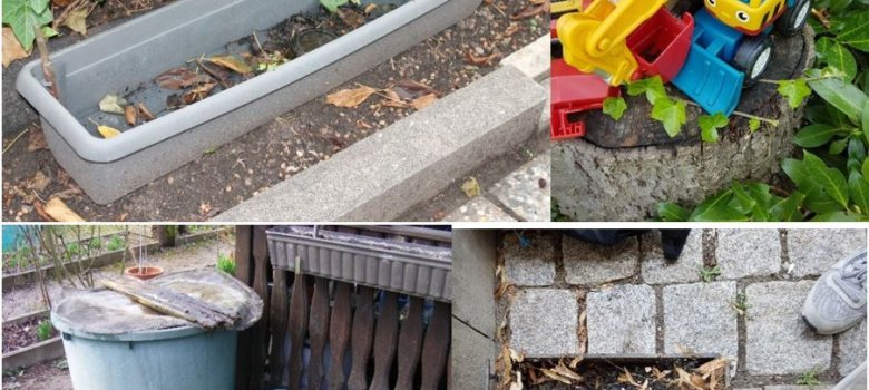 Beispiele für Brutstätten der Tigermücke