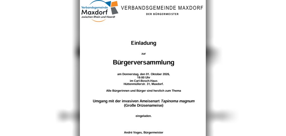 Einladung zur Bürgerversammlung zum Thema "Umgang mit der Ameisenart Tapinoma magnum"