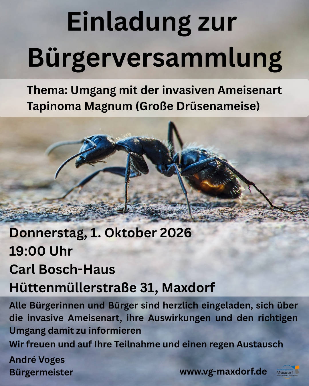 Plakat zur Bürgerversammlung