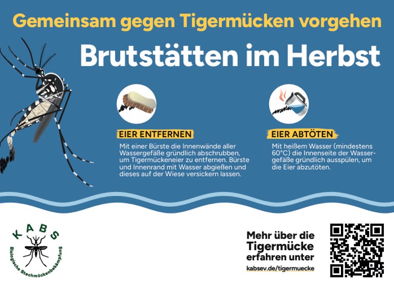 Gemeinsam gegen Tigermücken - Brutstätten im Herbst