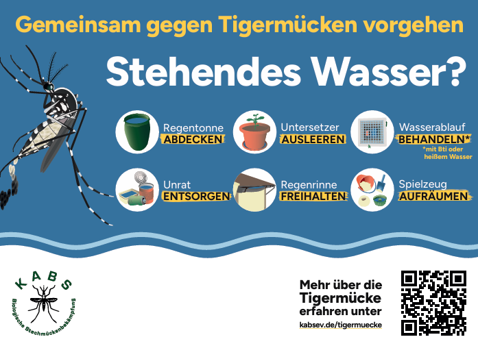 Gemeinsam gegen Tigermücken - Stehendes Wasser