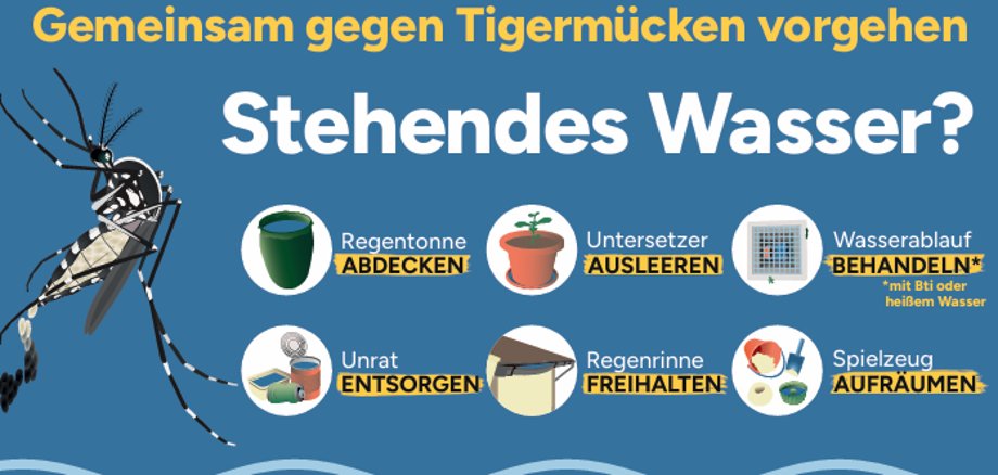 Gemeinsam gegen Tigermücken - Stehendes Wasser