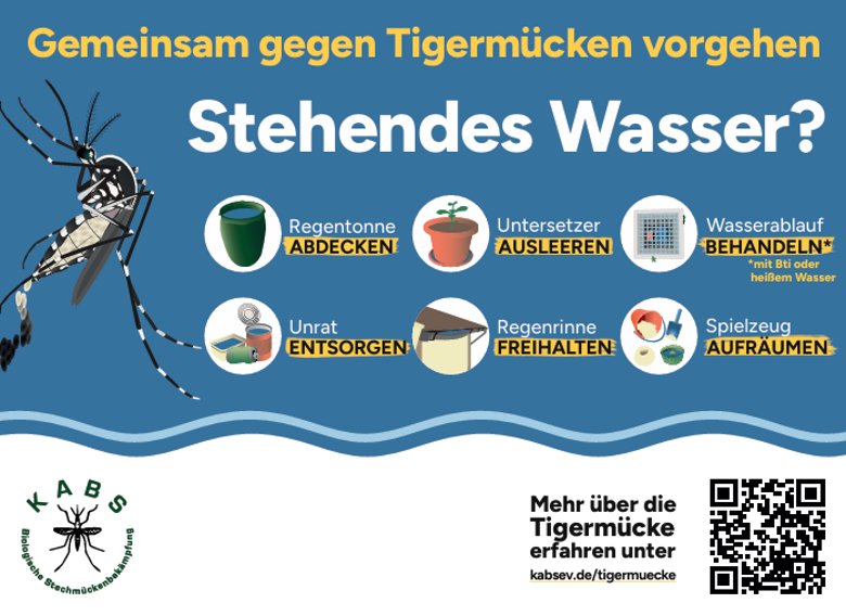Gemeinsam gegen Tigermücken - Stehendes Wasser