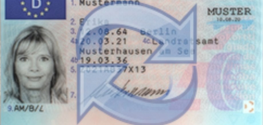 Beispielbild eines Führerscheines