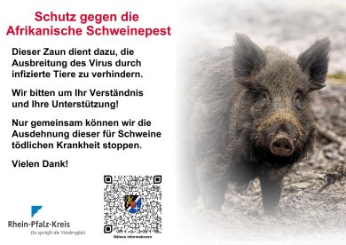 Afrikanische Schweinepest - last final_big_Version Afrikanische Schweinepest - last final_big_Version